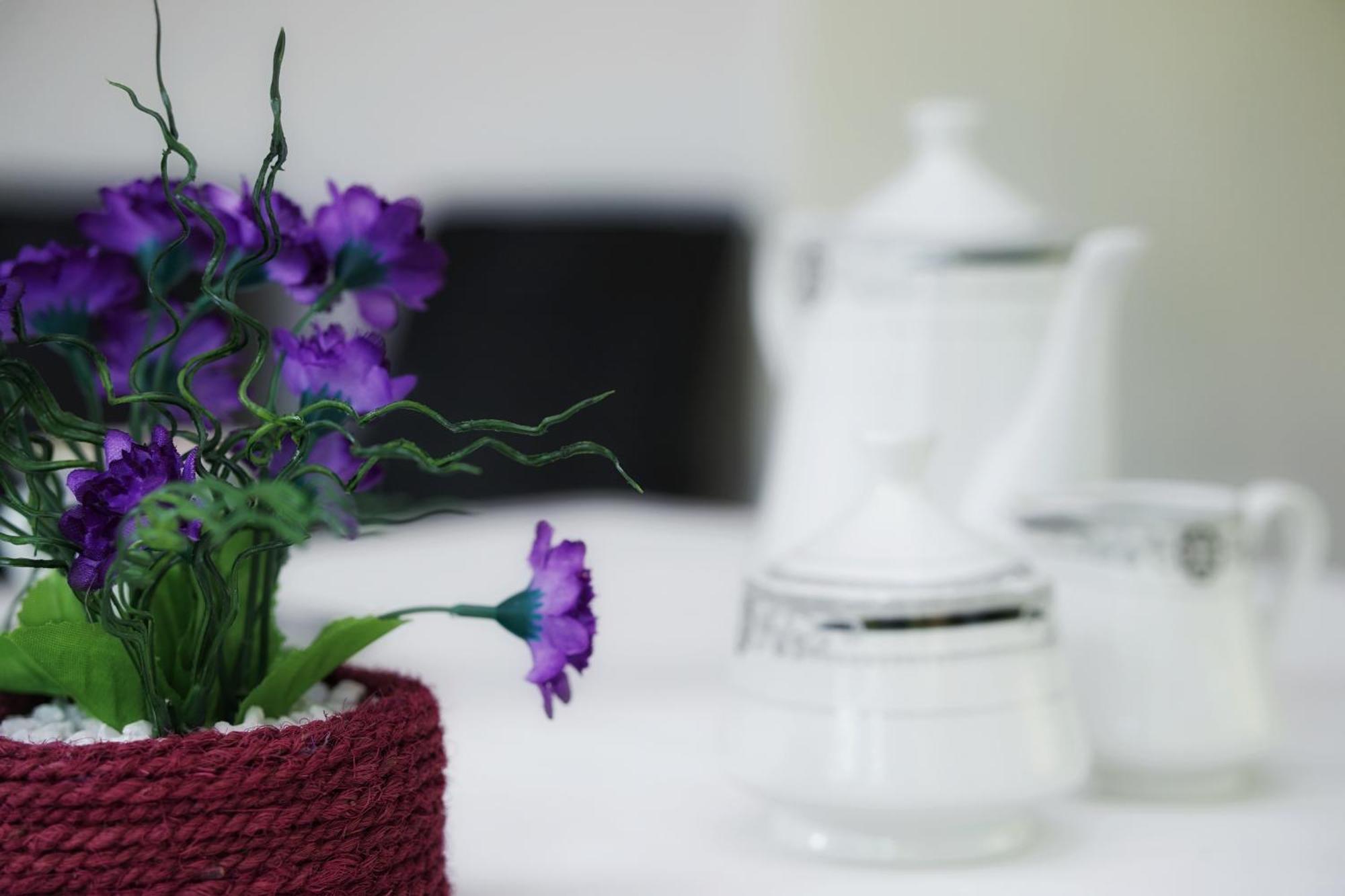 Sashini Homestay Сигирия Экстерьер фото