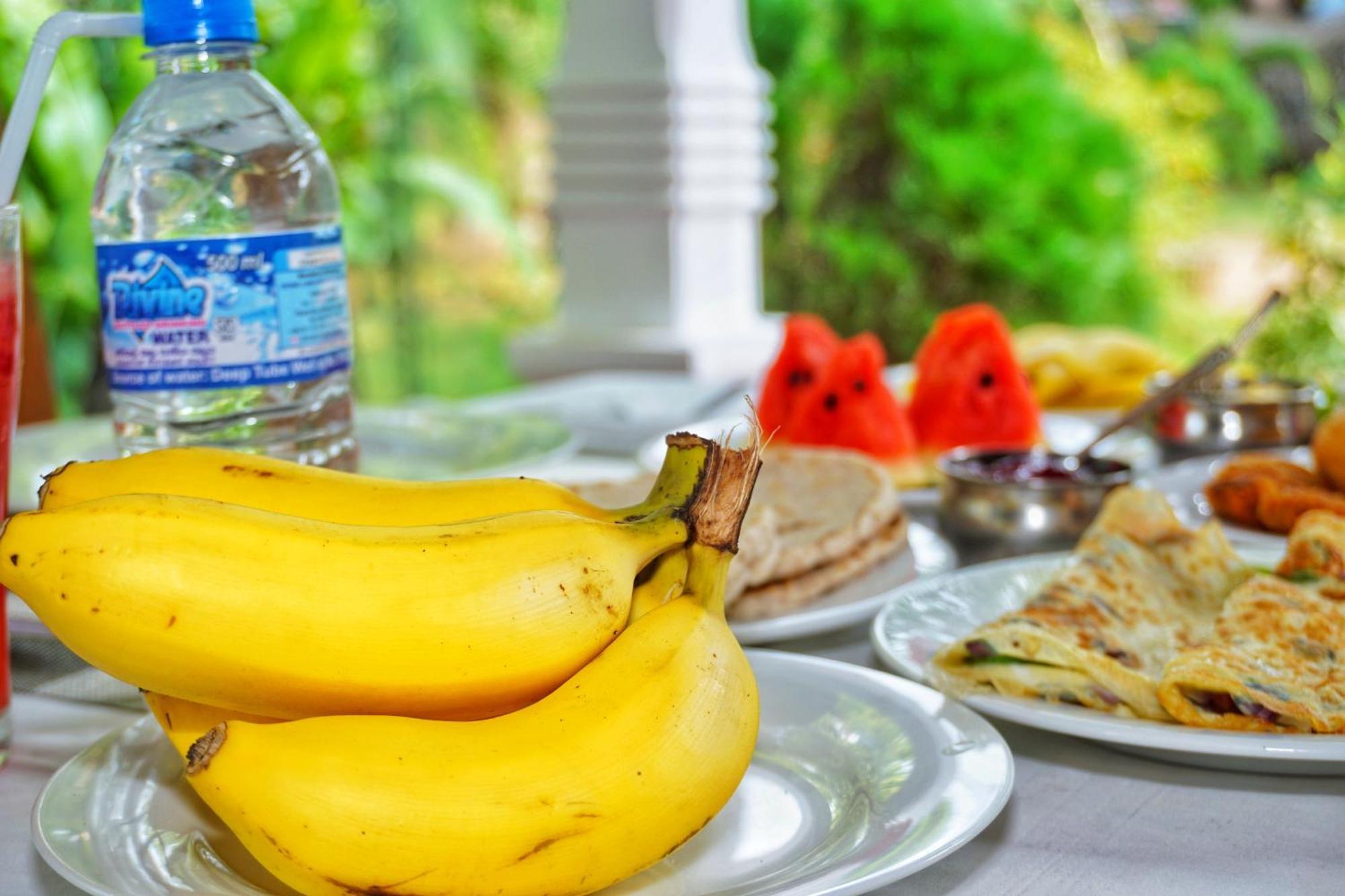 Sashini Homestay Сигирия Экстерьер фото
